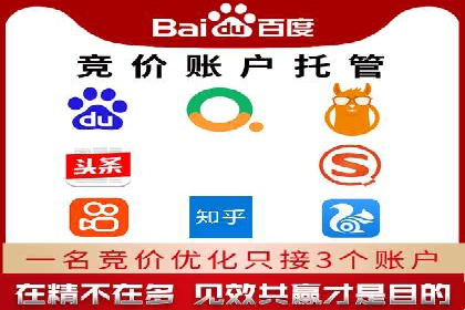 实战解析：SEM代运营成功案例分享